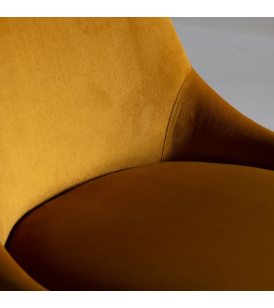 Chair Resi