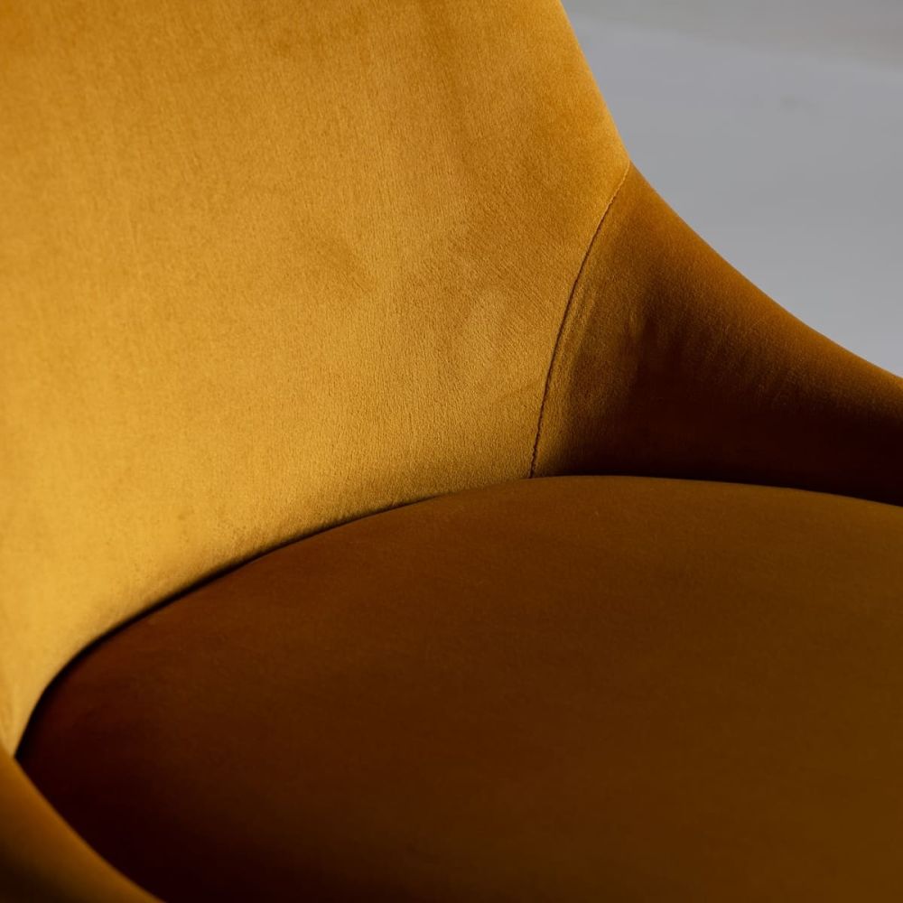 Chair Resi
