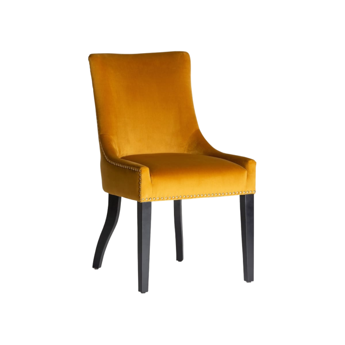 Chair Resi